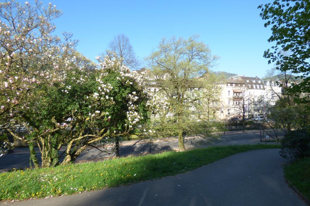 Colibri Apartment Baden-Baden Exterior photo